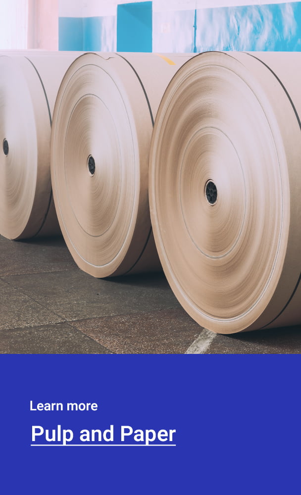 pulp-paper