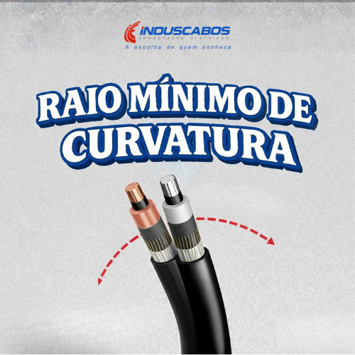 Imagem destacada do post 48298