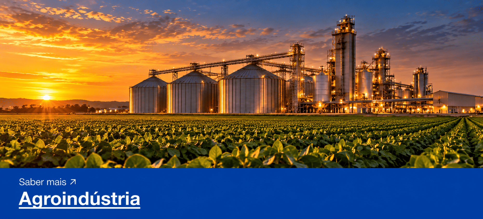Agroindústria