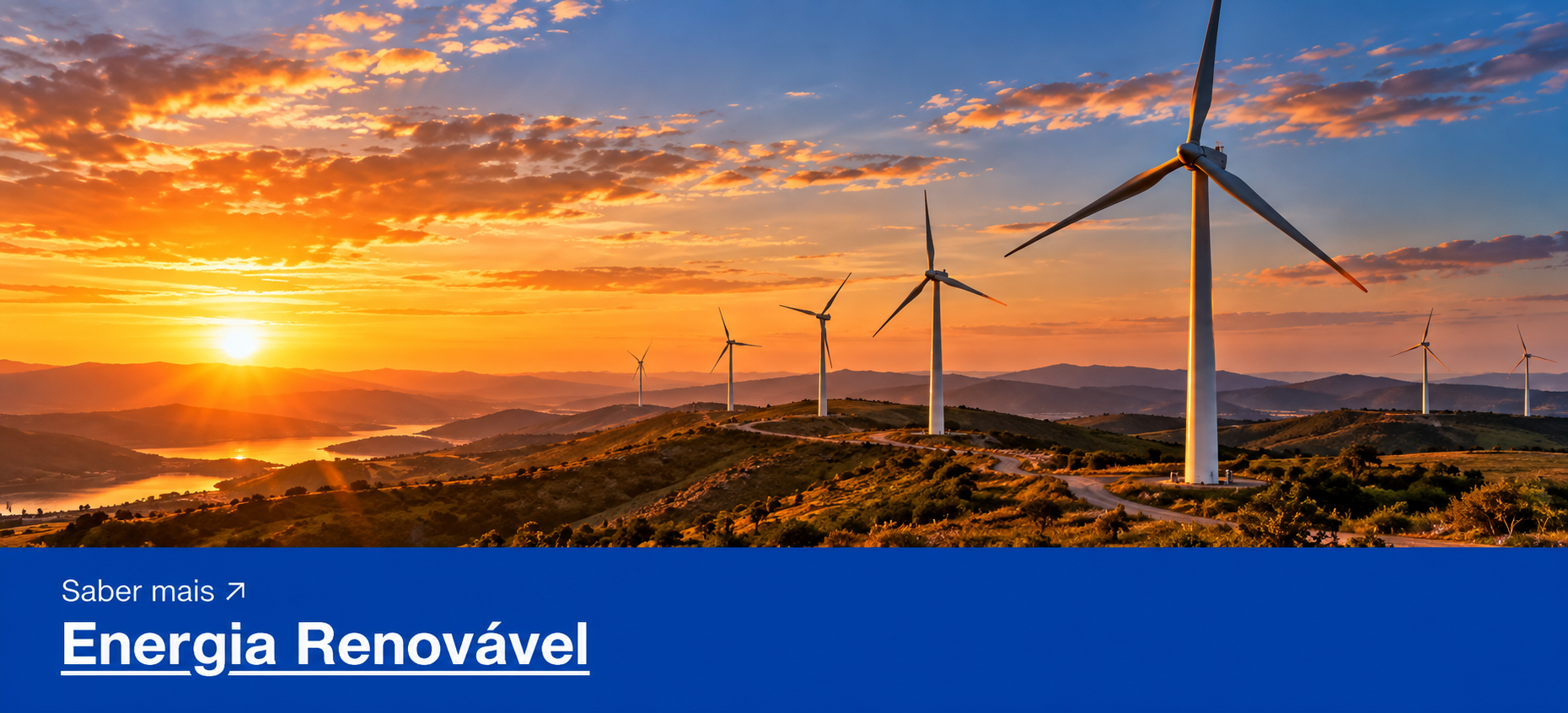 Energia Renovável